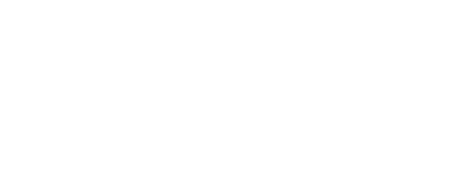 THE AUROUS